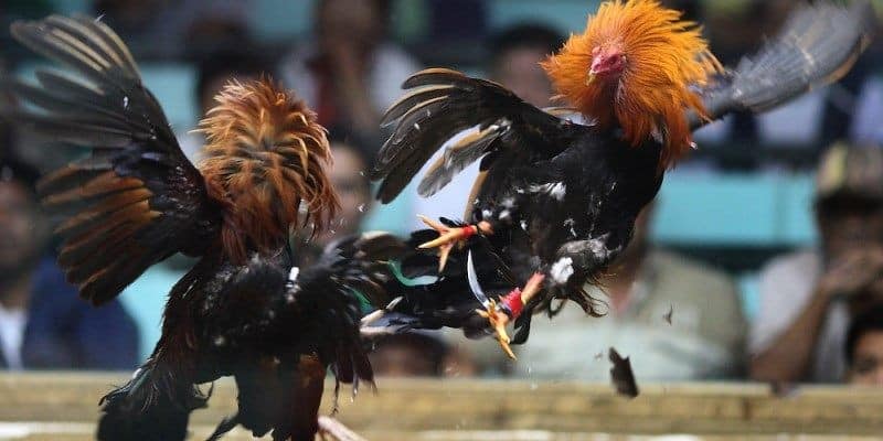 Bí quyết đặt cược hiệu quả